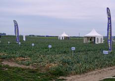 Verschillende rassen van Hoza